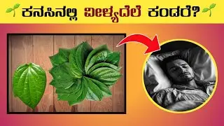 ಕನಸಿನಲ್ಲಿ ವೀಳ್ಯದೆಲೆ ಕಂಡರೆ?⚡kanasinalli vilyadele kandare⚡betel leaves dream meaning