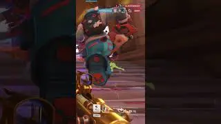Bro Why Nano Brig