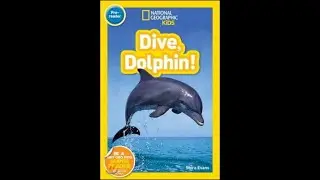 Dive, Dolphin!