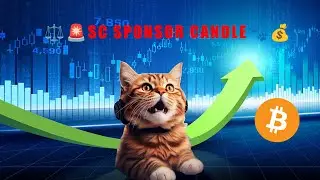 ⚖️🚨SC sponsor candle🐾💰