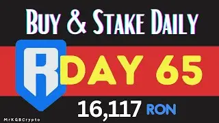 RONIN TOKEN Ron Token Daily Buys & Staking Journeys - DAY 65