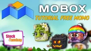 MOBOX TUTORIAL | FREE MOMO