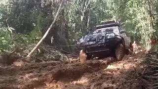 Borneo Safari 2017 Trowback | Overland Adventure | Extreme 4x4 Off Road | Hilux Mudding 2929