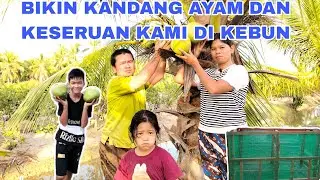 PERGI KE KEBUN TANAM DAUN SINGKONG DAN METIK KELAPA MUDA