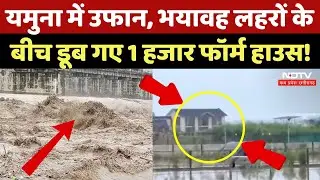 Delhi Flood Alert: Yamuna का रौद्र रूप, डूब गए फॉर्म हाउस! | Heavy Rain in Delhi | Monsoon | Viral