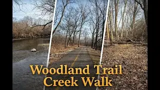 Woodland Trail Creek Walk with Calm Jazz (SONG)