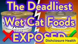 10 Wet Cat Food Brands To AVOID At All Costs! (And Few That Are Safe!)#food #healthandwellness