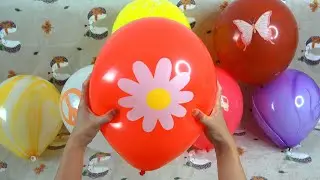 FUN BIRTHDAY BALLOON POP PART 51! #satisfying #asmr #popping #balloon #flowers #fun #color