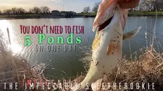 Fishing early spring on a public SACRAMENTO pond (Caught some BIG HEALTH bass)