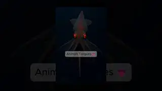 These Animal Tongues Are TERRIFYING