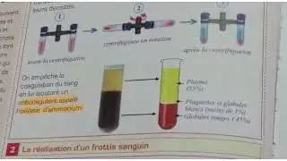 la composition du sang