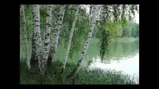 Белая береза. По рассказам Елены Чепилка