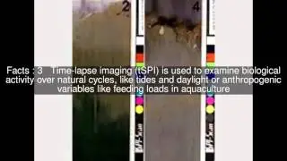 Sediment Profile Imagery Top  #6 Facts