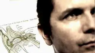 Shrag - Devastating Bones