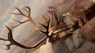 Waxwings shrikes kinglets wagtails gnatcatchers sparrows llama musk ox bucks tropical fish 14332