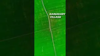 The beauty of Kainakary Village #alappuzha #kerala #kainakary
