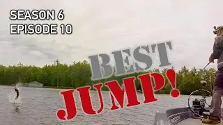 Наживка для пескарей раздавлена ​​мускусом! | Лучший прыжок мускуса из воды! S6.E10