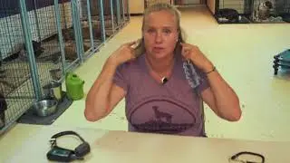 Dog Training Tools at Dog Gone Amazing