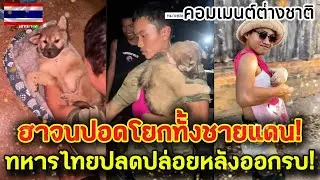 ฮาจนปอดโยกทั้งชายแดน! เมื่อทหารไทยกลายเป็น คุณพ่อสุนัขลูกอ่อน กับ มาดามรันเวย์ ! คอมเมนต์ต่างชาติ