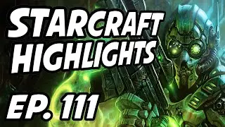 StarCraft Daily Highlights | Ep. 111 | StarCraft, Avilo, UUednesday, Maynarde