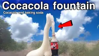 Cocacola and baking soda experiment | Cocacola and baking soda | My content is heat 