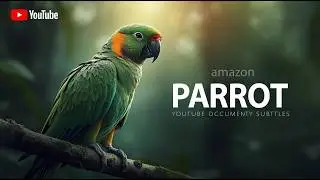 Amazon Parrot | The Voice of the Rainforest