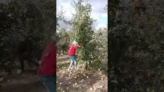 #memes #meme #mem #мемы #мем #shorts #tiktok