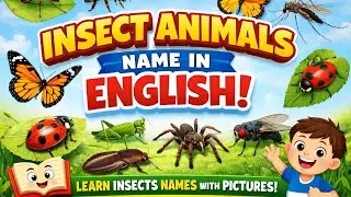 Insect Animals Name in English | Insects Name with Pictures | Kids Learning Video