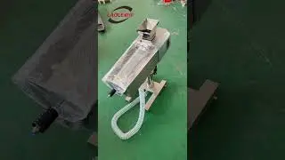 Tablet Press Accessory Equipment Zws137 High-Speed Horizontal Tablet Deduster Polishing Machine