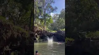 #maui #twinfalls #cliffjump #treejump #hawaii #paradise