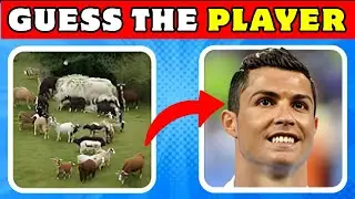 Guess the Player & Find Haaland ⚽🧠 Football IQ Quiz (Easy to Hard)