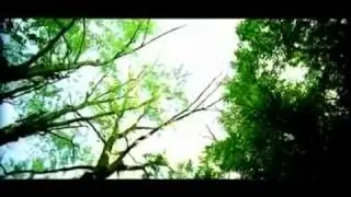 Chris Prolls - Fuck You