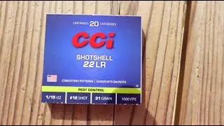 CCI ShotShell Ammo?