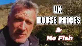 VANLIFE - ALTERNATIVES TO HIGH HOUSE PRICES