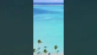 Elite Escapades