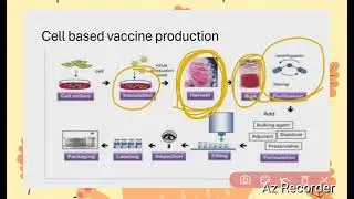 Application of animal cell culture: vaccine production