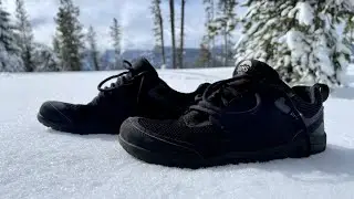 Lems Primal Zen Shoes