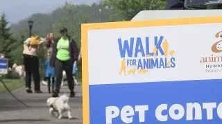 Animal Allies to host annual &lsquo;Walk for Animals&rsquo;