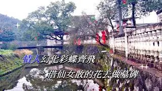 梁祝 • 恨綿綿   張偉文〈卡拉伴奏版〉