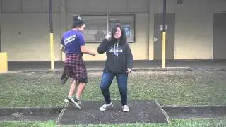Epic llama Song/Dance Fail