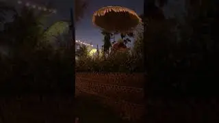 STICKY FINGERS Dizza - Cyclone (Bali 17/2/19)