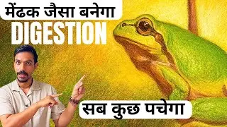 MANDUKASANA YOGA | मेंढक जैसा पाचन । @prashantjyog 
