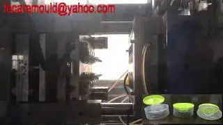 China flip top cap two color mold design