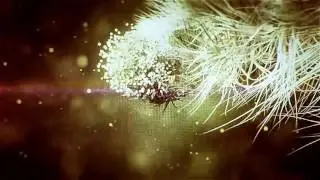 Mickey Valen feat. Feli Ferraro - Wildcard (Paperwings Remix) | R.B.S. House