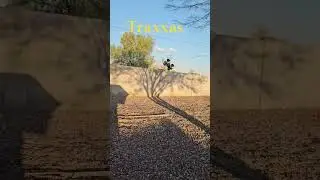 Maxx bashing