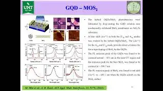 Photoconductivity Enhancement in MoS2 and WSe2 Hybrids Aided by Light-Absorbing Carbon-Based