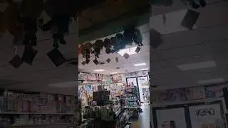 Anime Store Quick Look