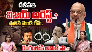 Vijay Thalapathy Arrest..?: దళపతి విజయ్ అరెస్ట్..? | Stalin Mind Game | Amit Shah | Wild Wolf Taja