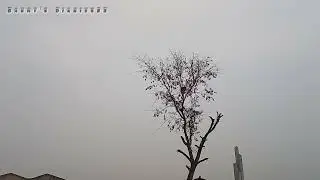 Rainy day#status video#reels# nature
