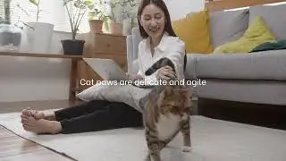 Dog vs Cat Paws 🐕🐈: Is the Paw Care REALLY Different? (The Truth Revealed)